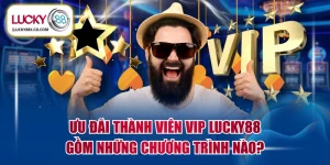 Ưu đãi thành viên VIP